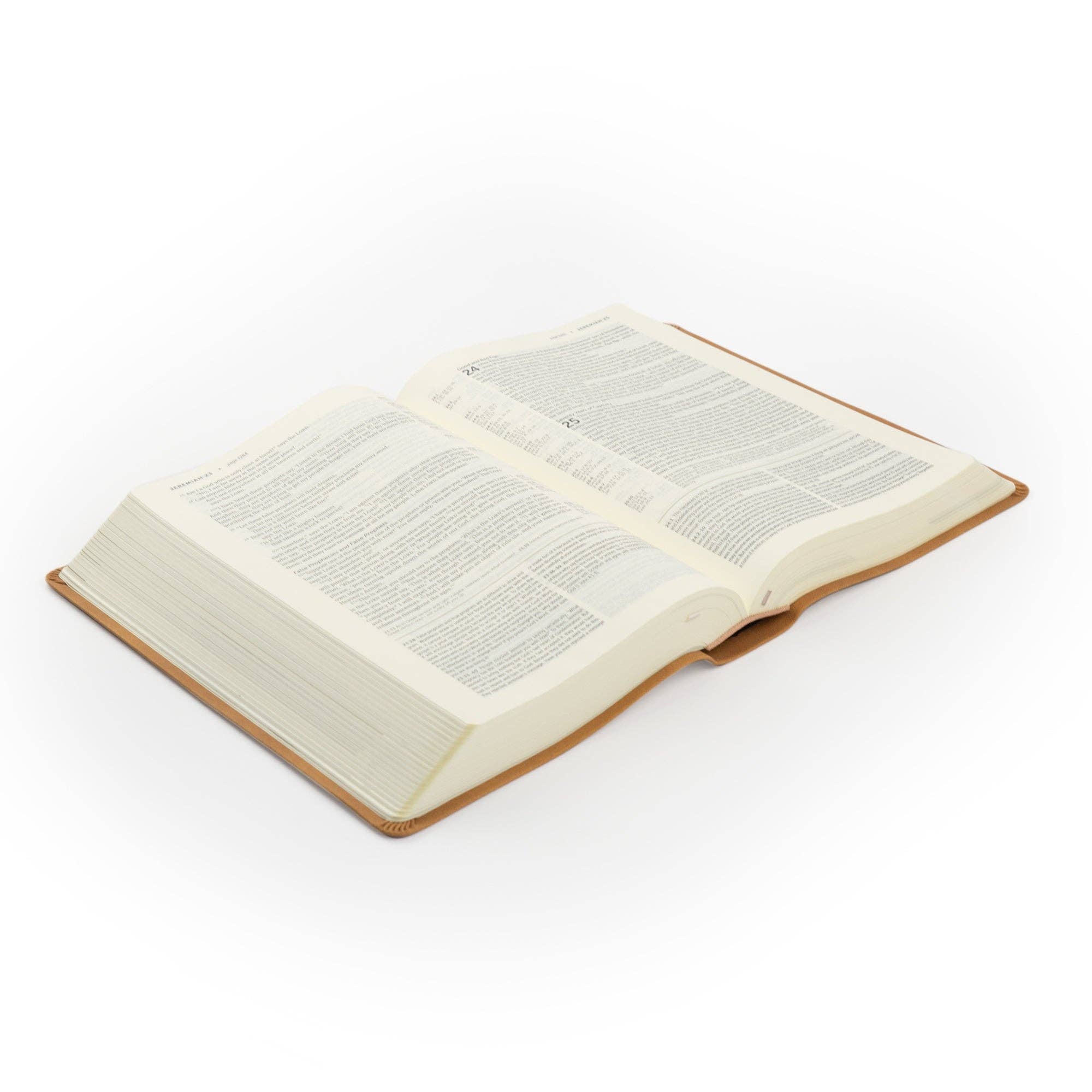NLT Life Application Study Bible