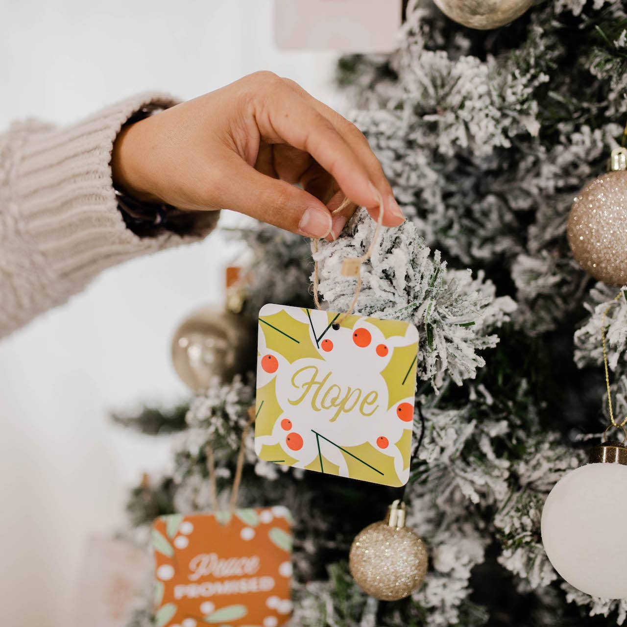 Family Advent Ornament Set | Jesus Has Come