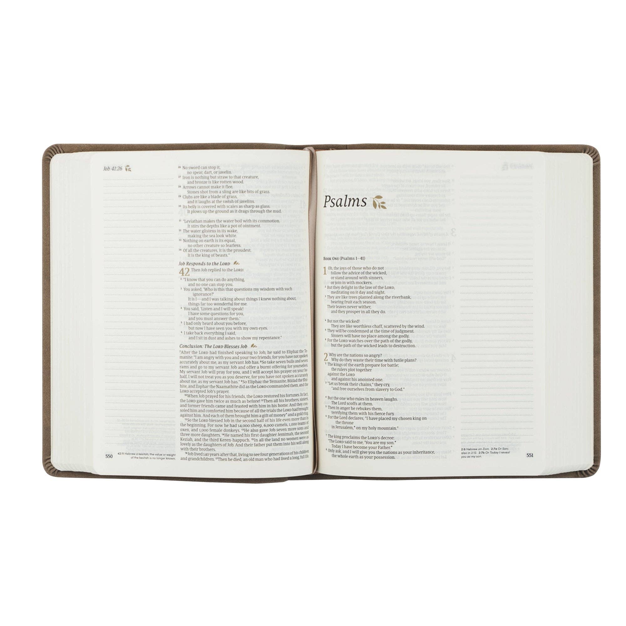 NLT Notetaking Bible