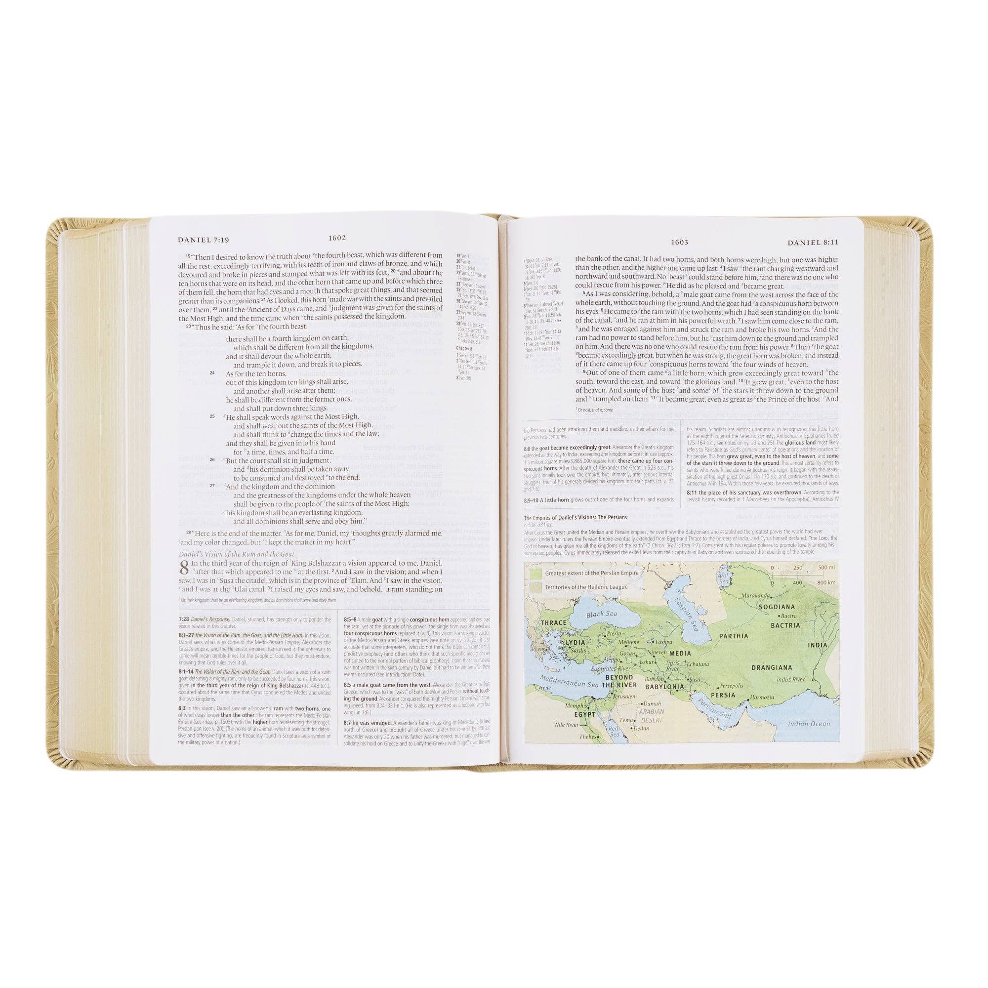ESV Study Bible