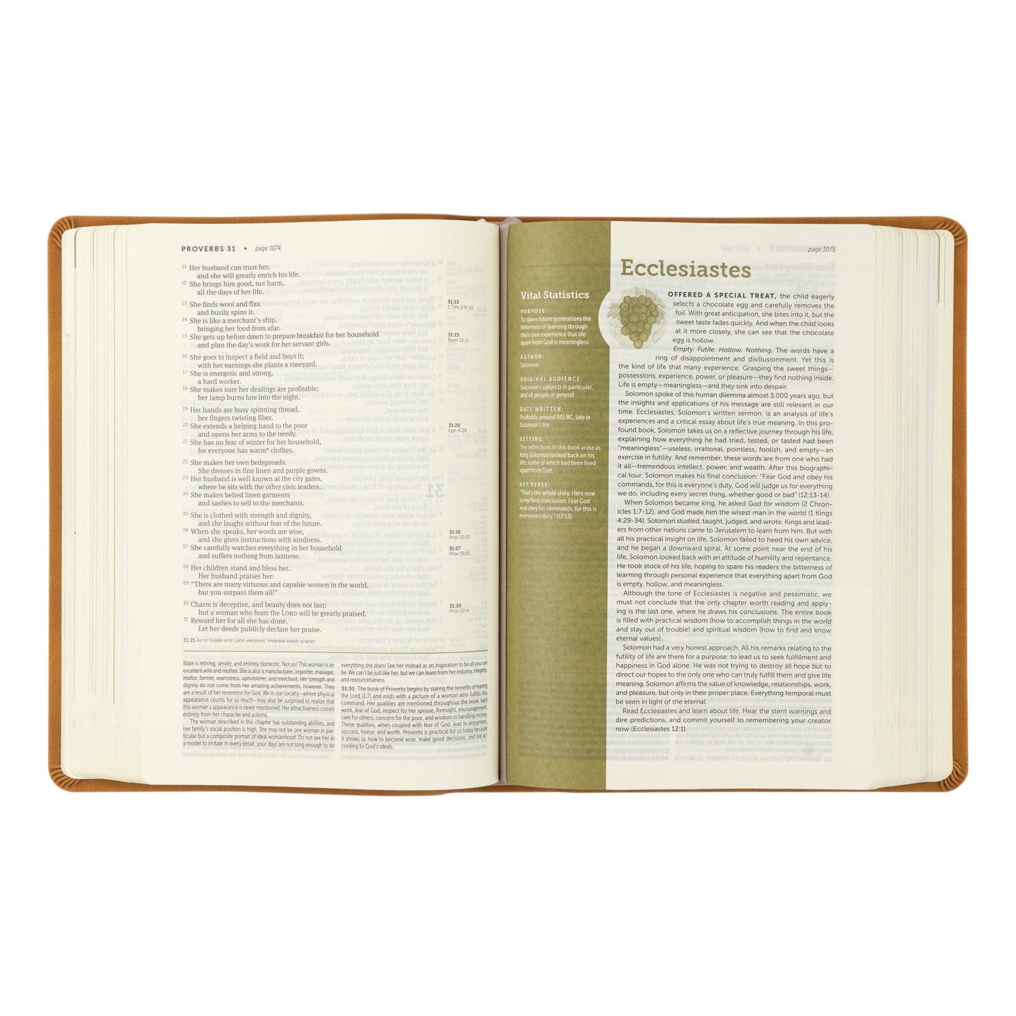 NLT Life Application Study Bible