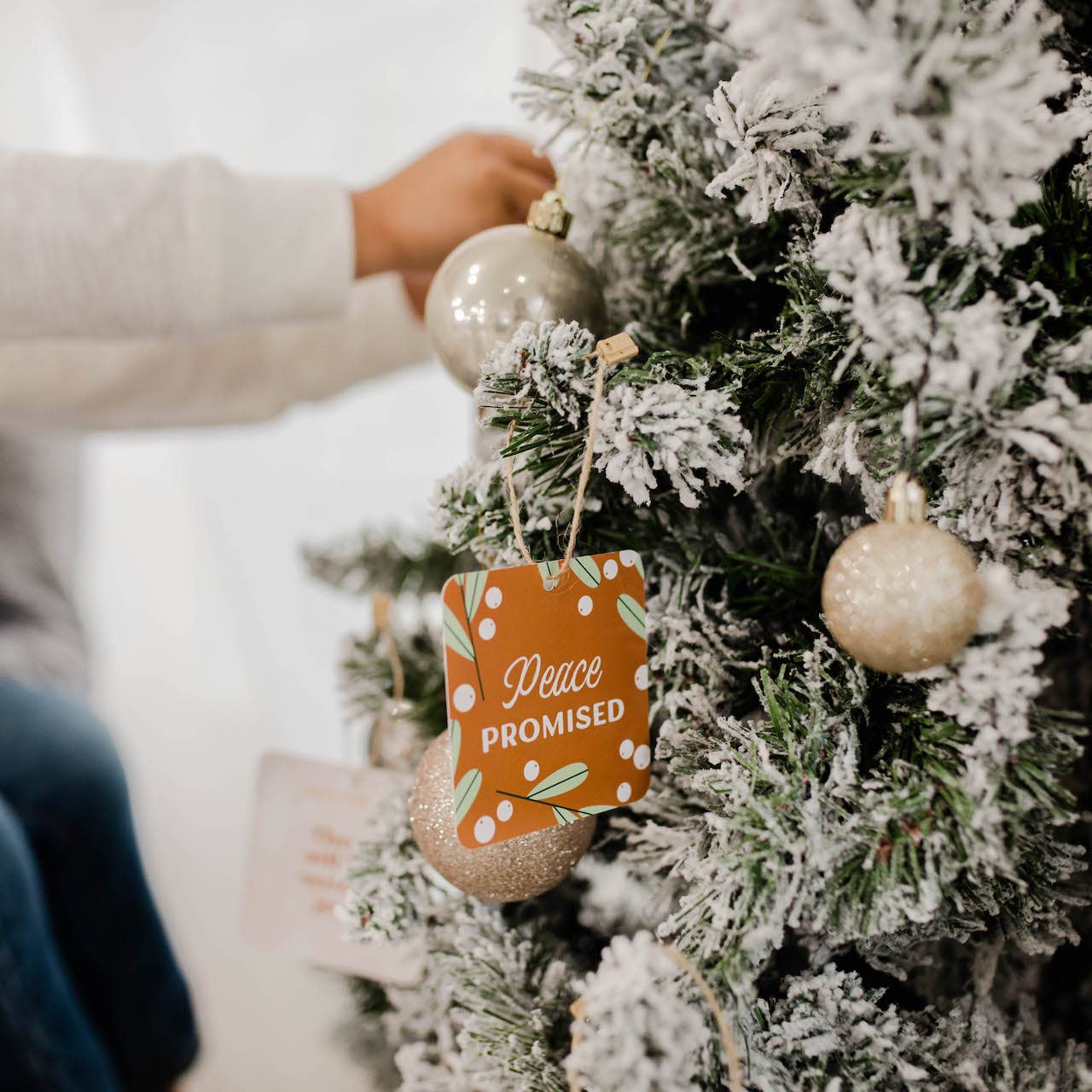 Family Advent Ornament Set | Jesus Has Come