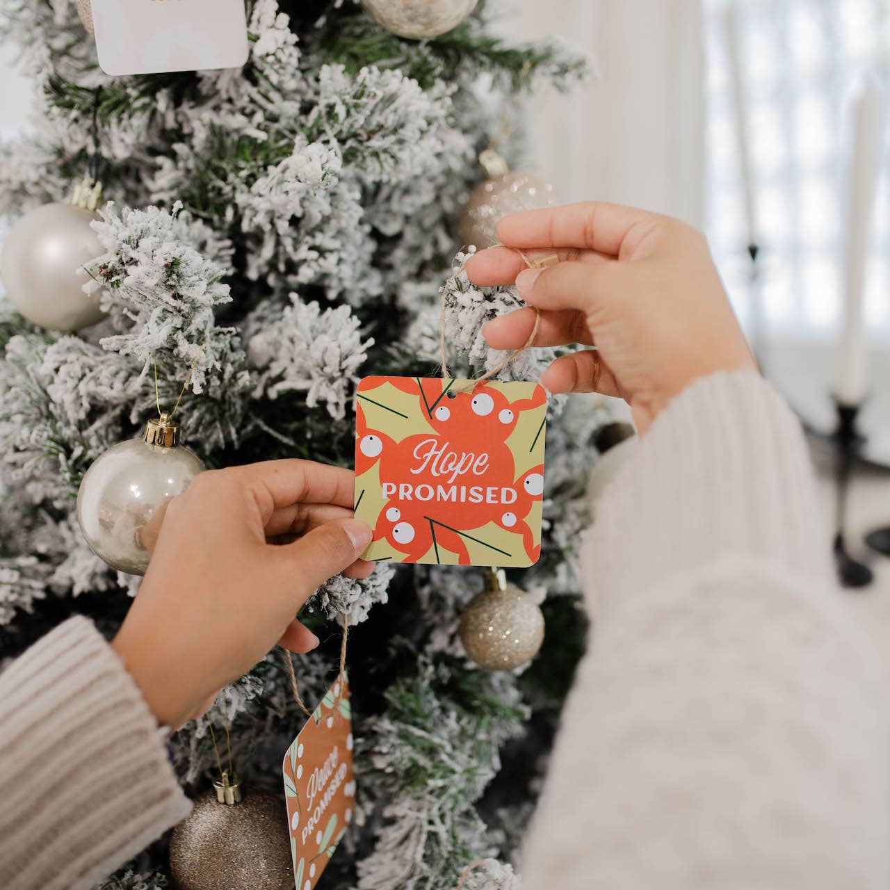 Family Advent Ornament Set | Jesus Has Come